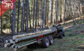 forwarder wood